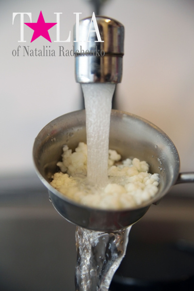 Чайный молочный гриб, который мы вывезли из Украины в баночке от крема Виши :)